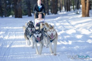 Studio Kiva Photography