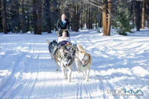 Studio Kiva Photography