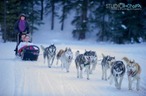 Studio Kiva Photography